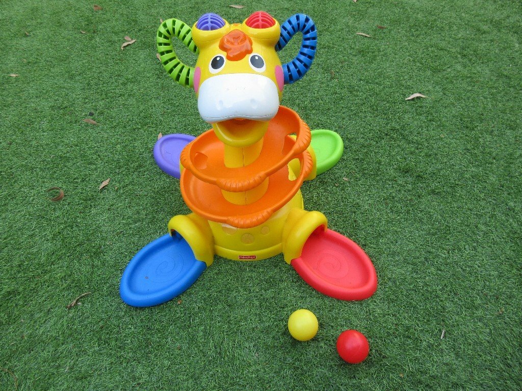 sit to stand giraffe